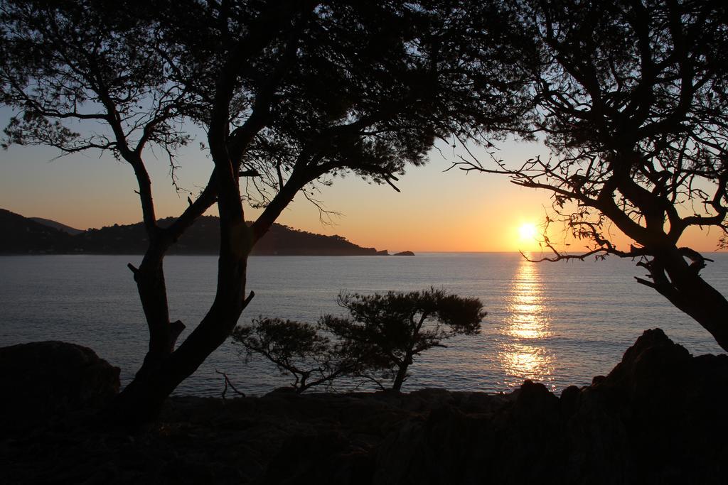 Auberge Du Cap Negre Le Lavandou Buitenkant foto