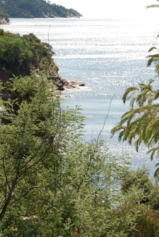Auberge Du Cap Negre Le Lavandou Buitenkant foto