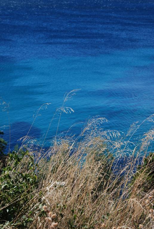 Auberge Du Cap Negre Le Lavandou Buitenkant foto